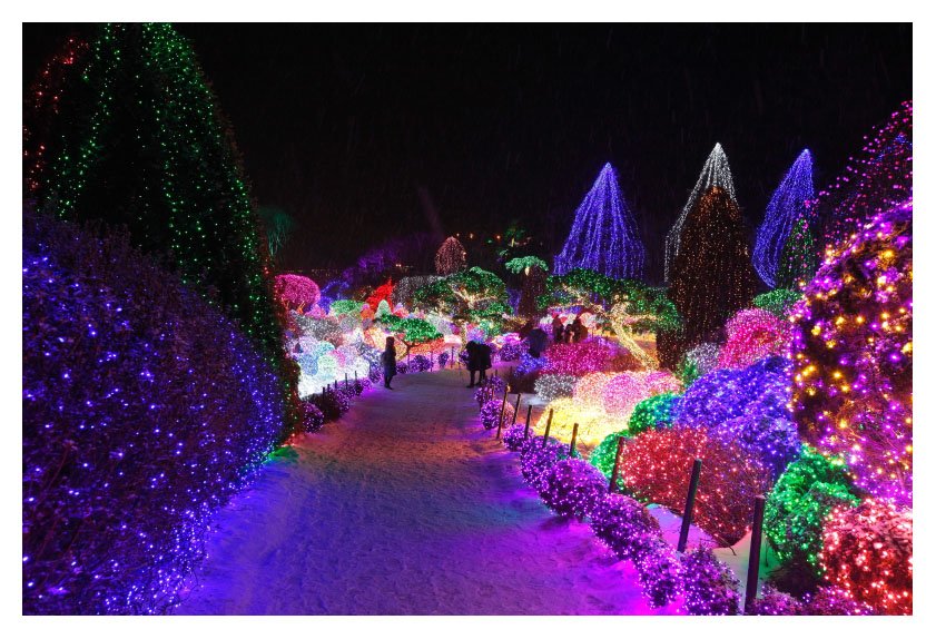 _MG_8271-1.jpg : 아침고요수목원