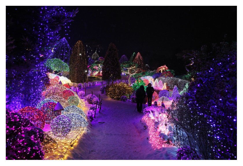 _MG_8353-1.jpg : 아침고요수목원