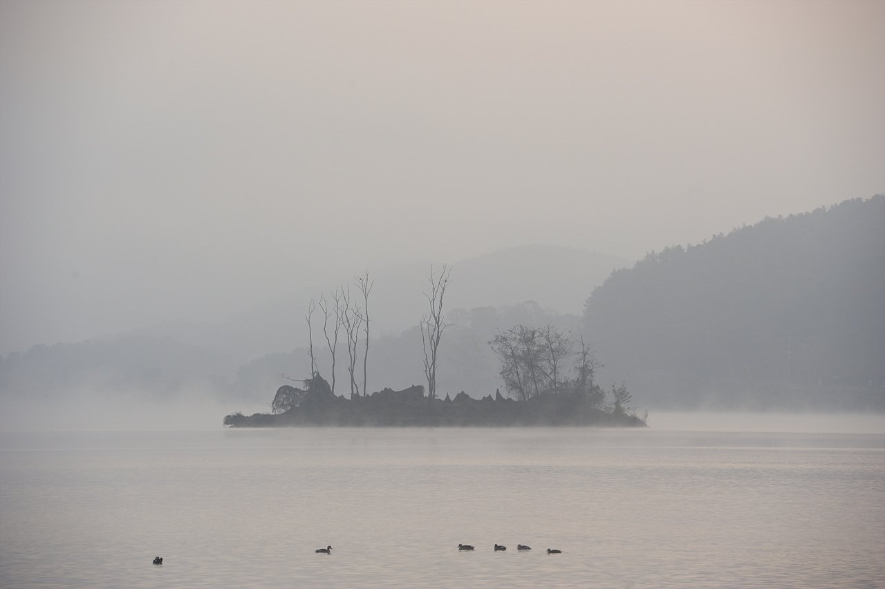 _DSC1304.jpg : 11월 정모숙제