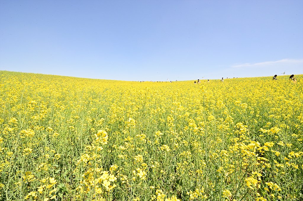 _DSC6477_00001.jpg : 안성팜랜드