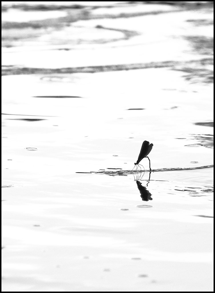 8D1A5107.jpg : 어떤 풍경