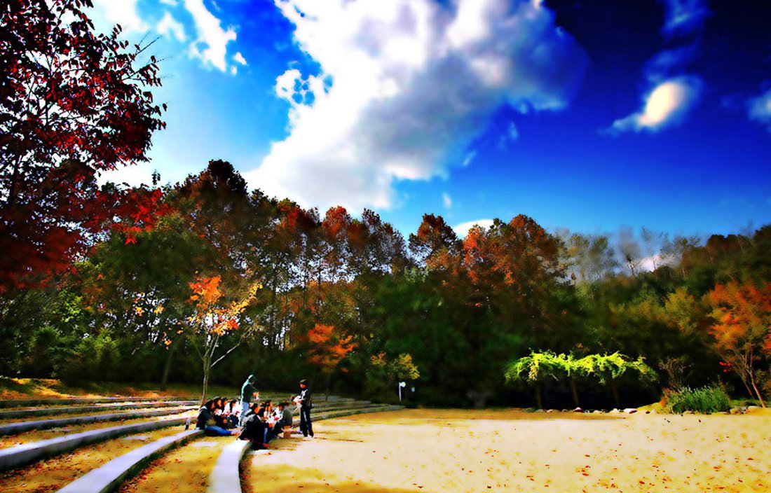 1100.jpg : 물향기 1100.jpg : 물향기