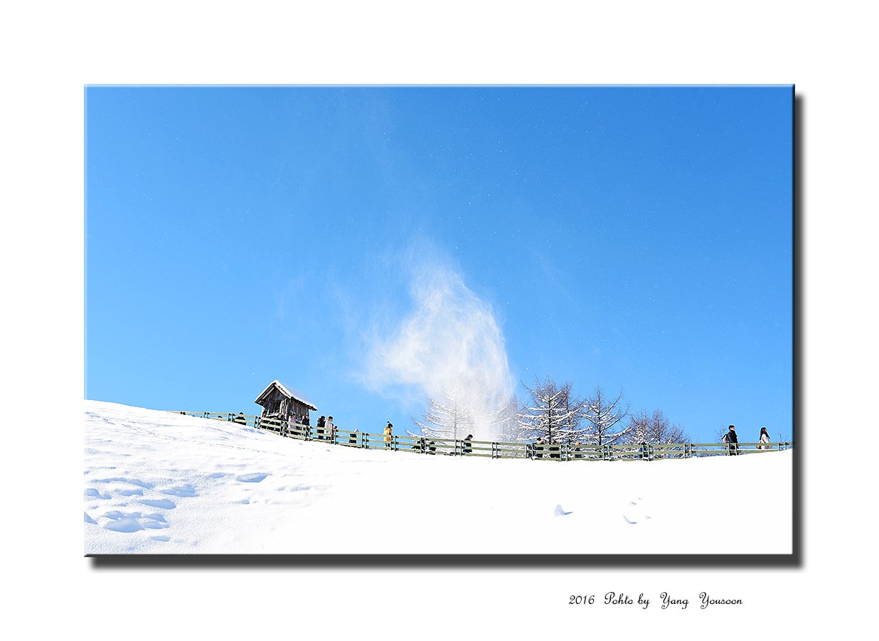 DSC_4119-1-r.jpg : 양떼목장 번개인증