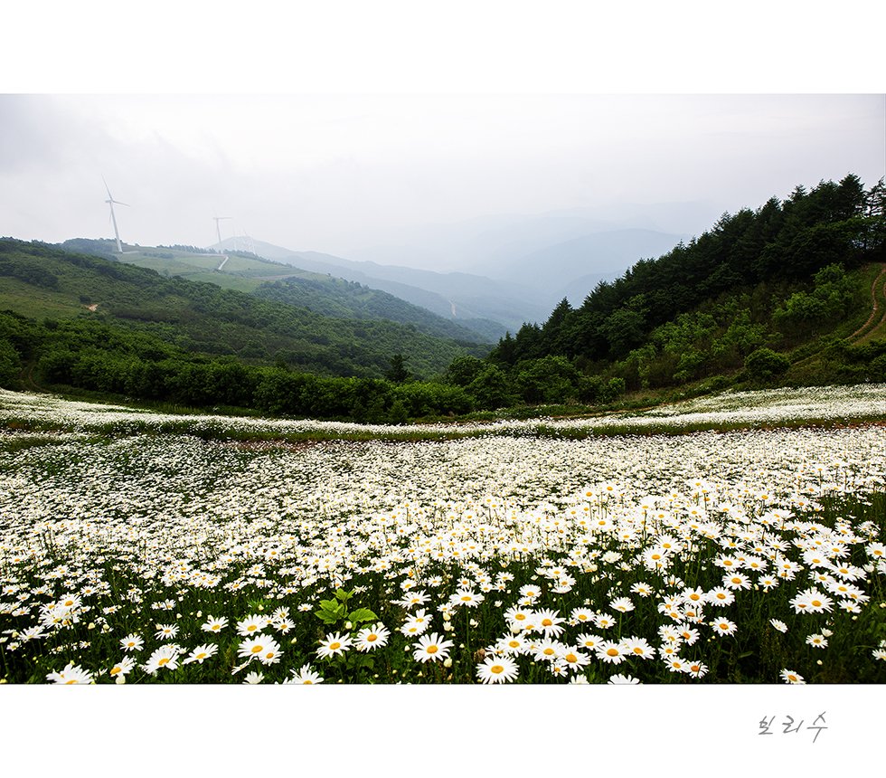 575A1304.jpg : 꽃동산 다녀왔습니다.