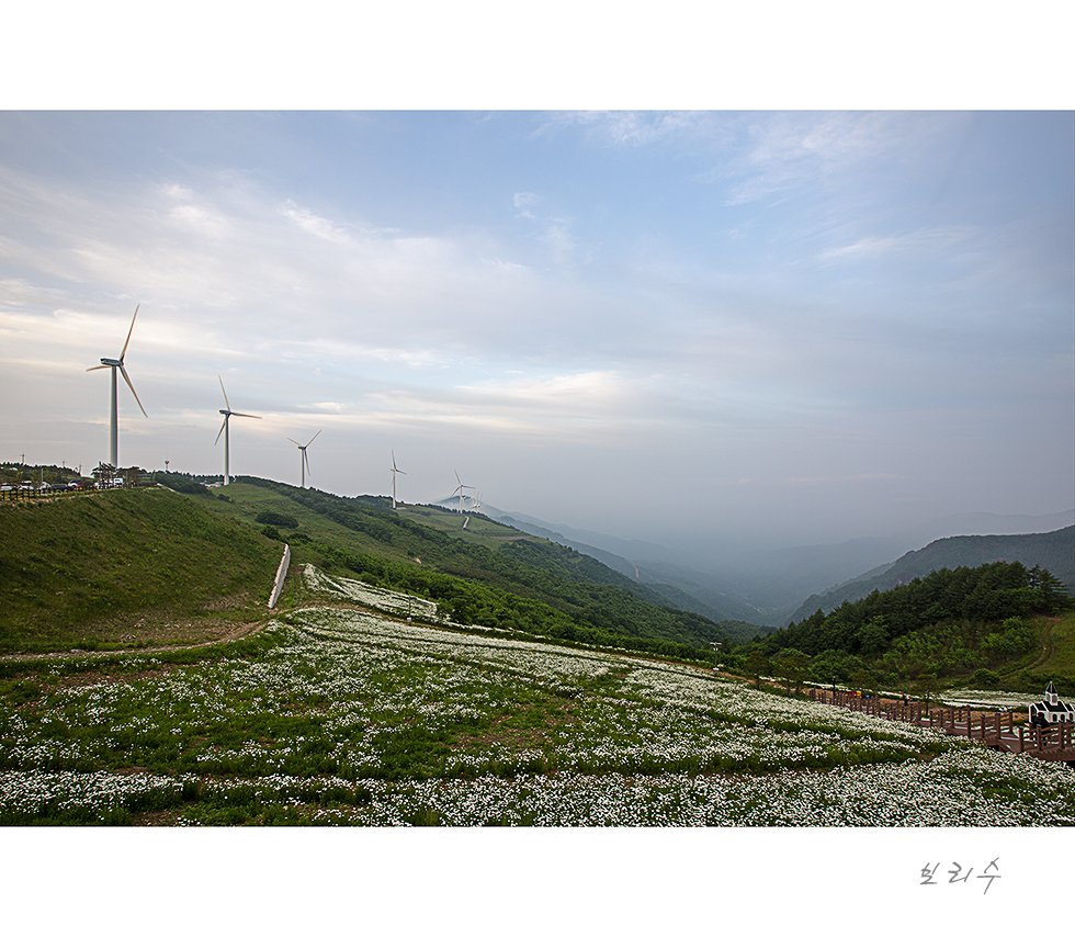 575A1195.jpg : 꽃동산 다녀왔습니다.