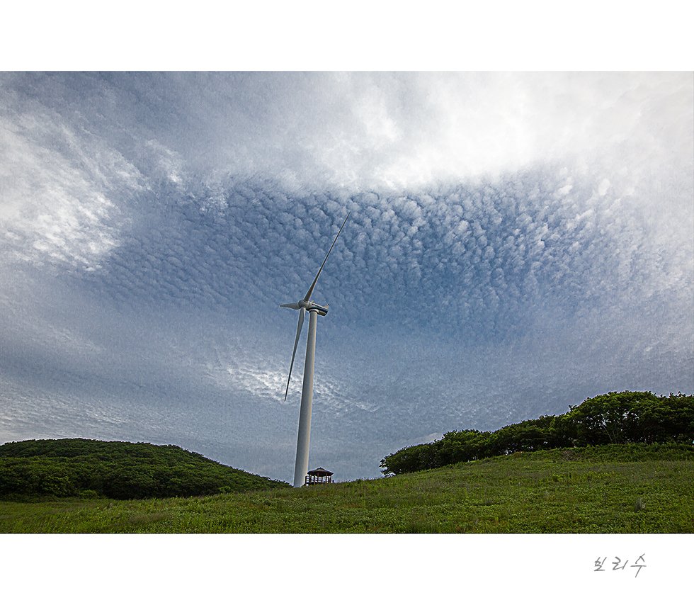 575A1197m.jpg : 꽃동산 다녀왔습니다.