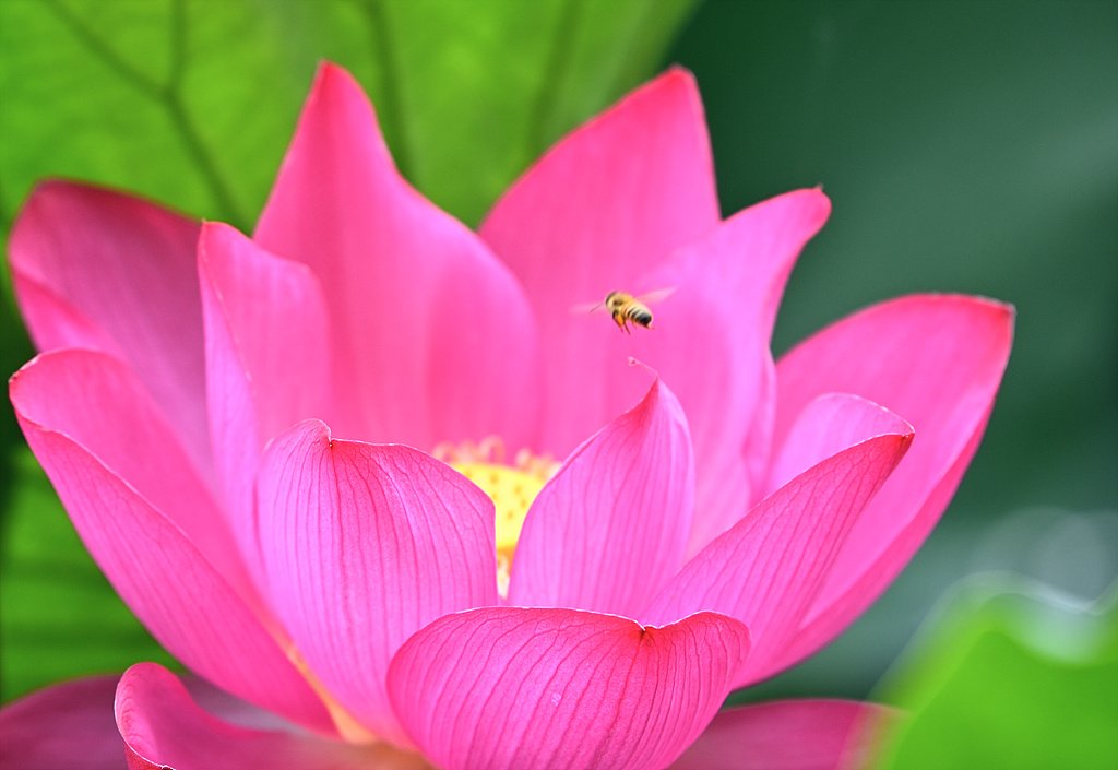 _DSC5925_00001.jpg : 7월18일 왕송지 번개 인증샷