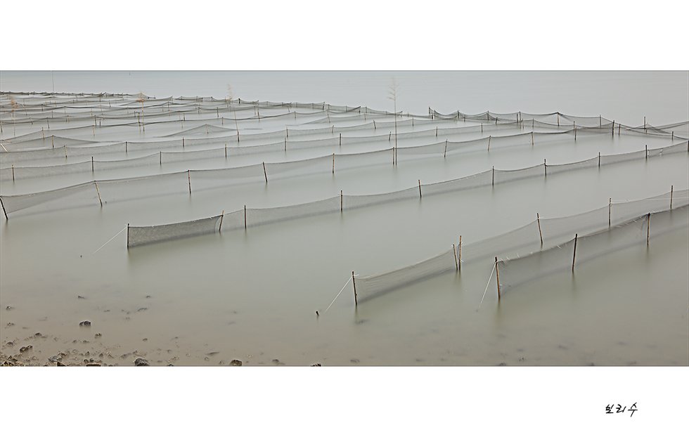 575A06491.jpg : 장노출