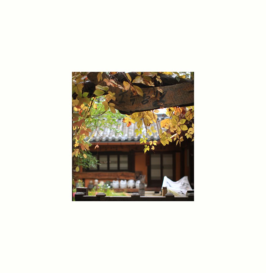 IMG_9974-11.jpg : 가을 끝자락....