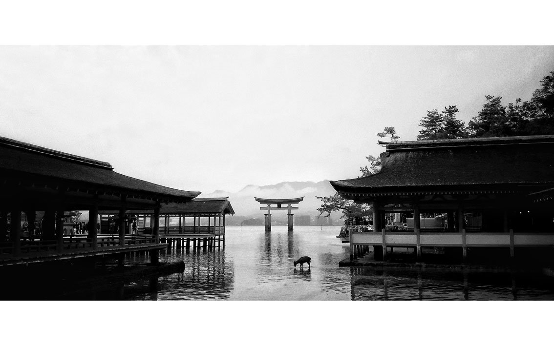 1487393094455 b.jpg : 실로 오랜만에 인사드립니다~