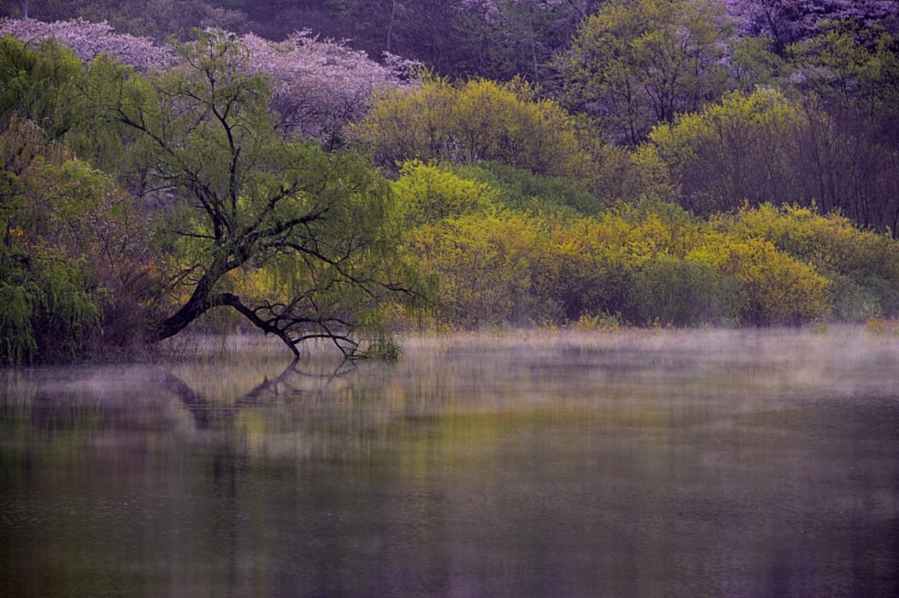 BandPhoto_8680617758.jpg : 서산 용유지 BandPhoto_8680617758.jpg : 서산 용유지