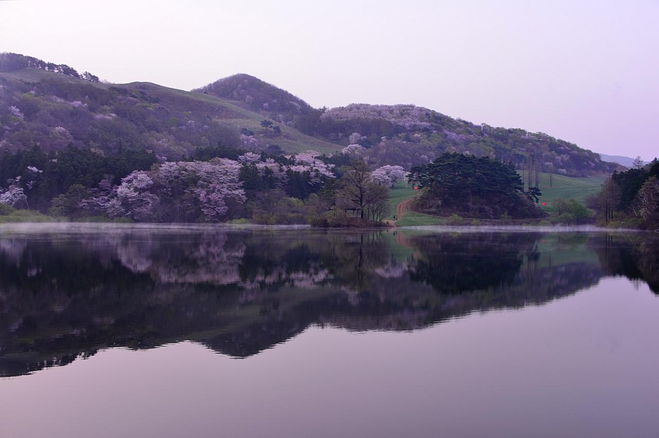 BandPhoto_8680617756.jpg : 서산 용유지 BandPhoto_8680617756.jpg : 서산 용유지