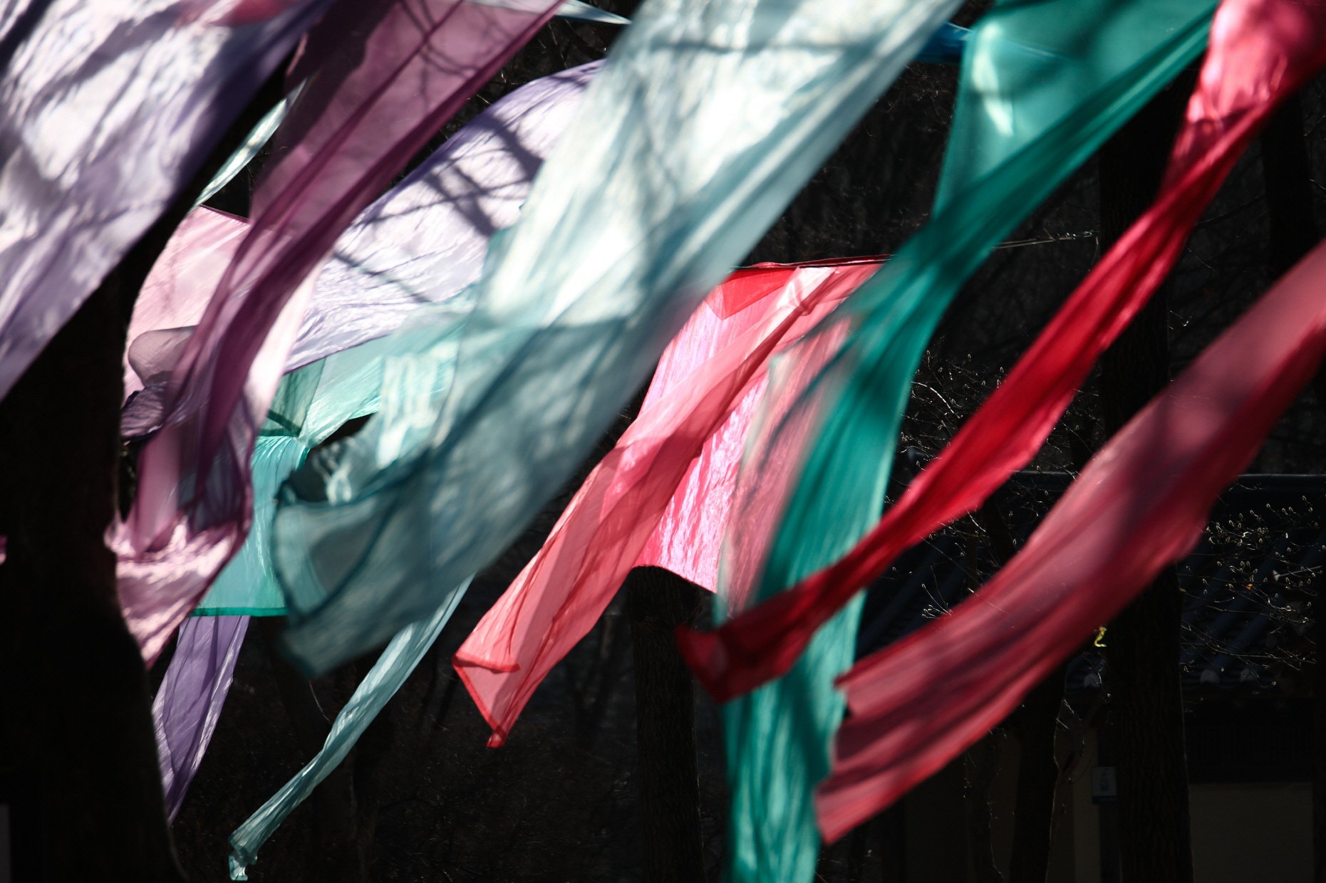 [크기변환]빛-바람.jpg : 2019년 2월 민속촌 정모