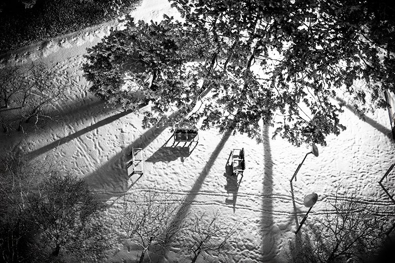 JWK16706.jpgs.jpg : 눈온 새벽