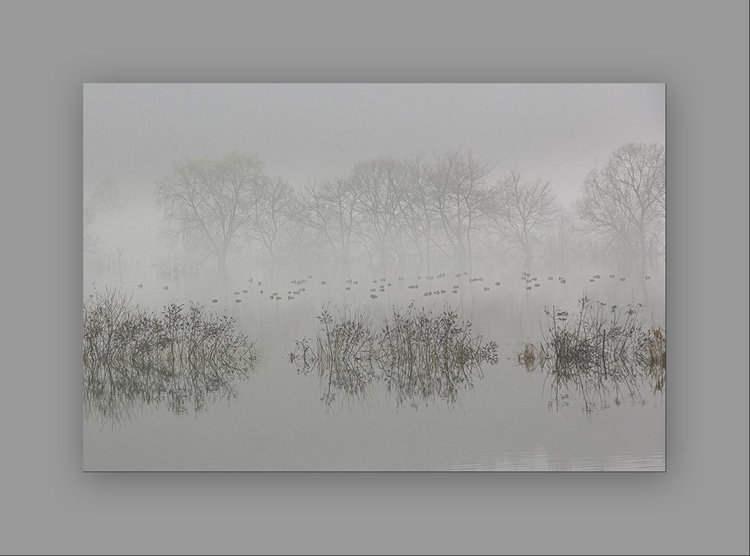 GGS_5675.jpg : 출근길에...