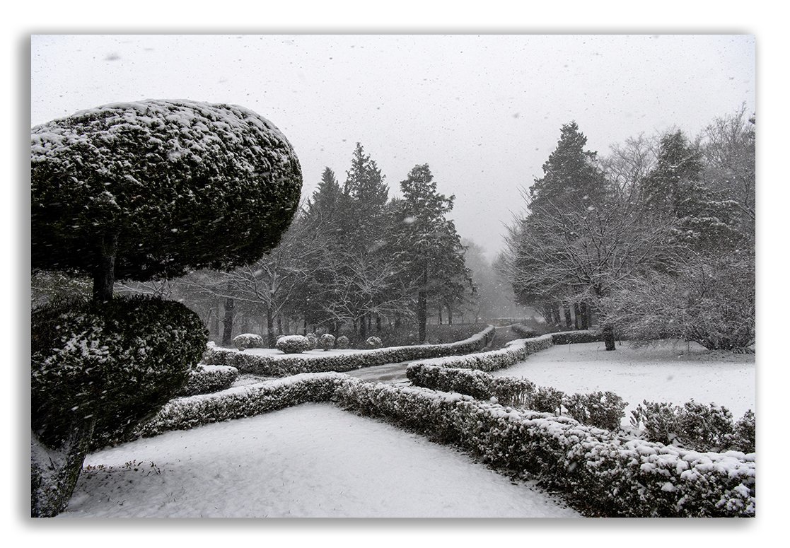 DSC_8180 @.jpg : 조경