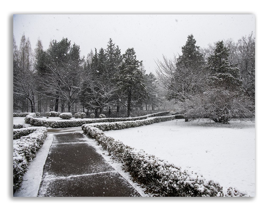 DSC_8182 @.jpg : 조경