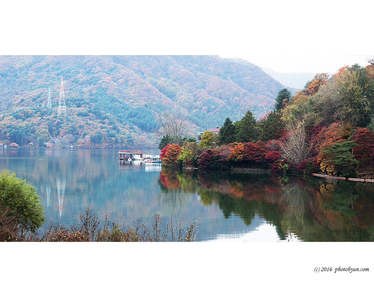 Q23C4331.jpg : 가을소경