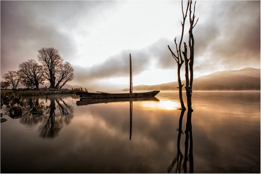 두물머리-나무.jpg : 두물머리 나무