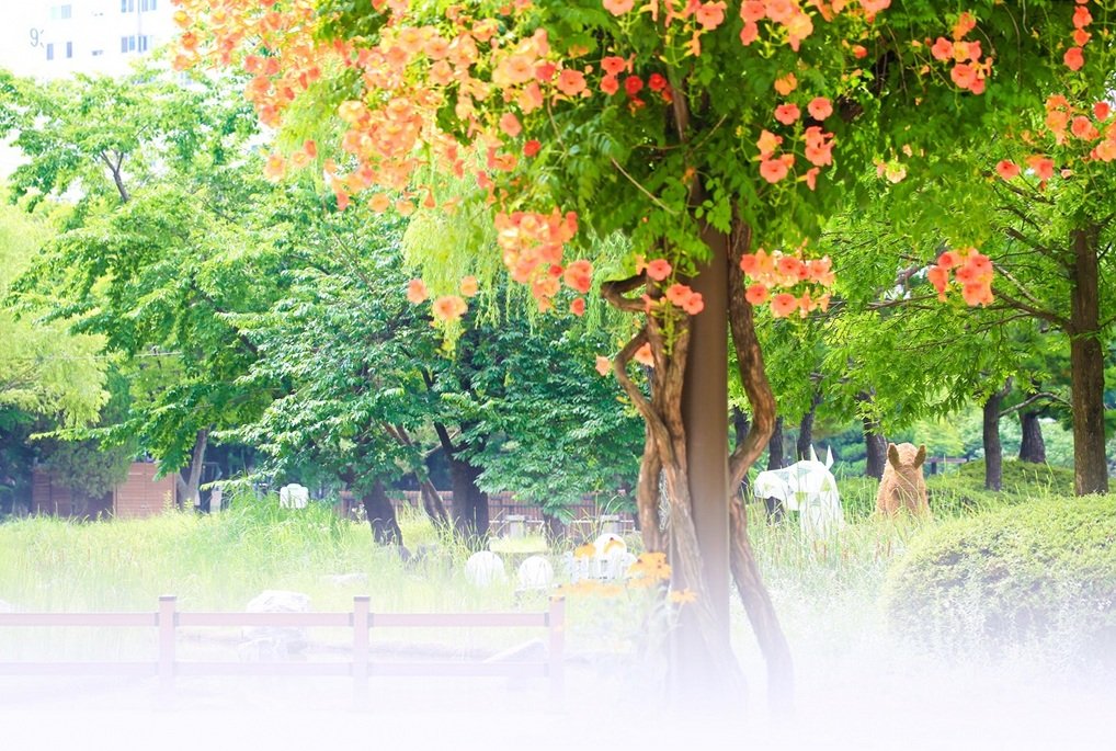 5K5A8174-20200708.jpg : 부천 능소화