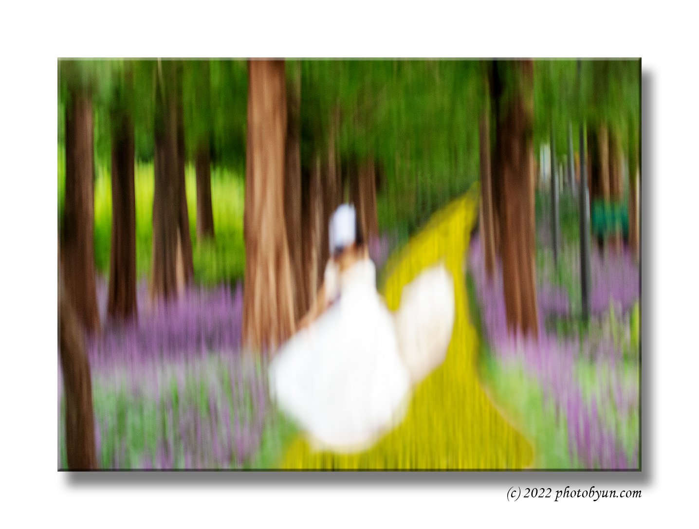 181A43703.jpg : 8월의 신부