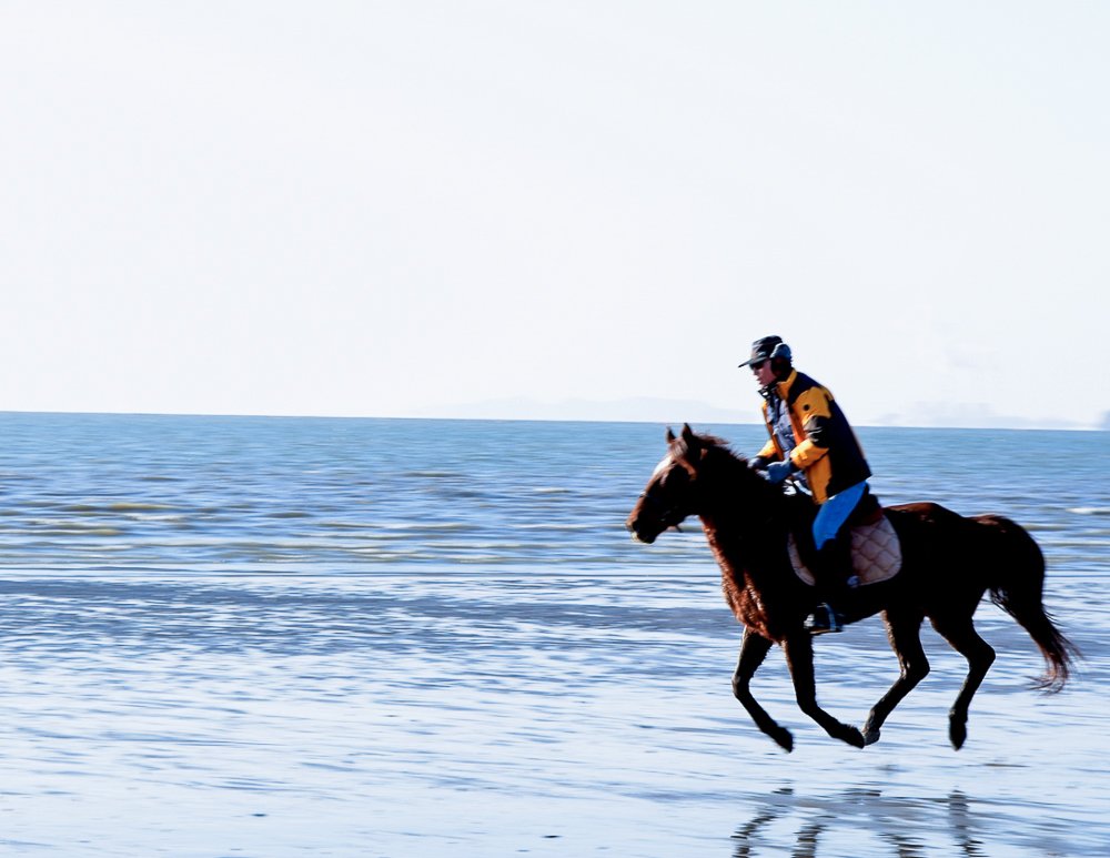 질주.jpg : 달려라 달려,,