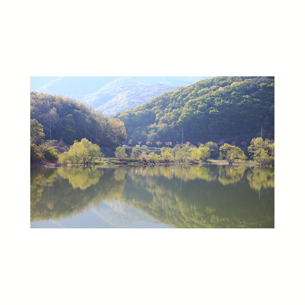 IMG_0849-03.jpg : 길위에서 봄을 만나다.