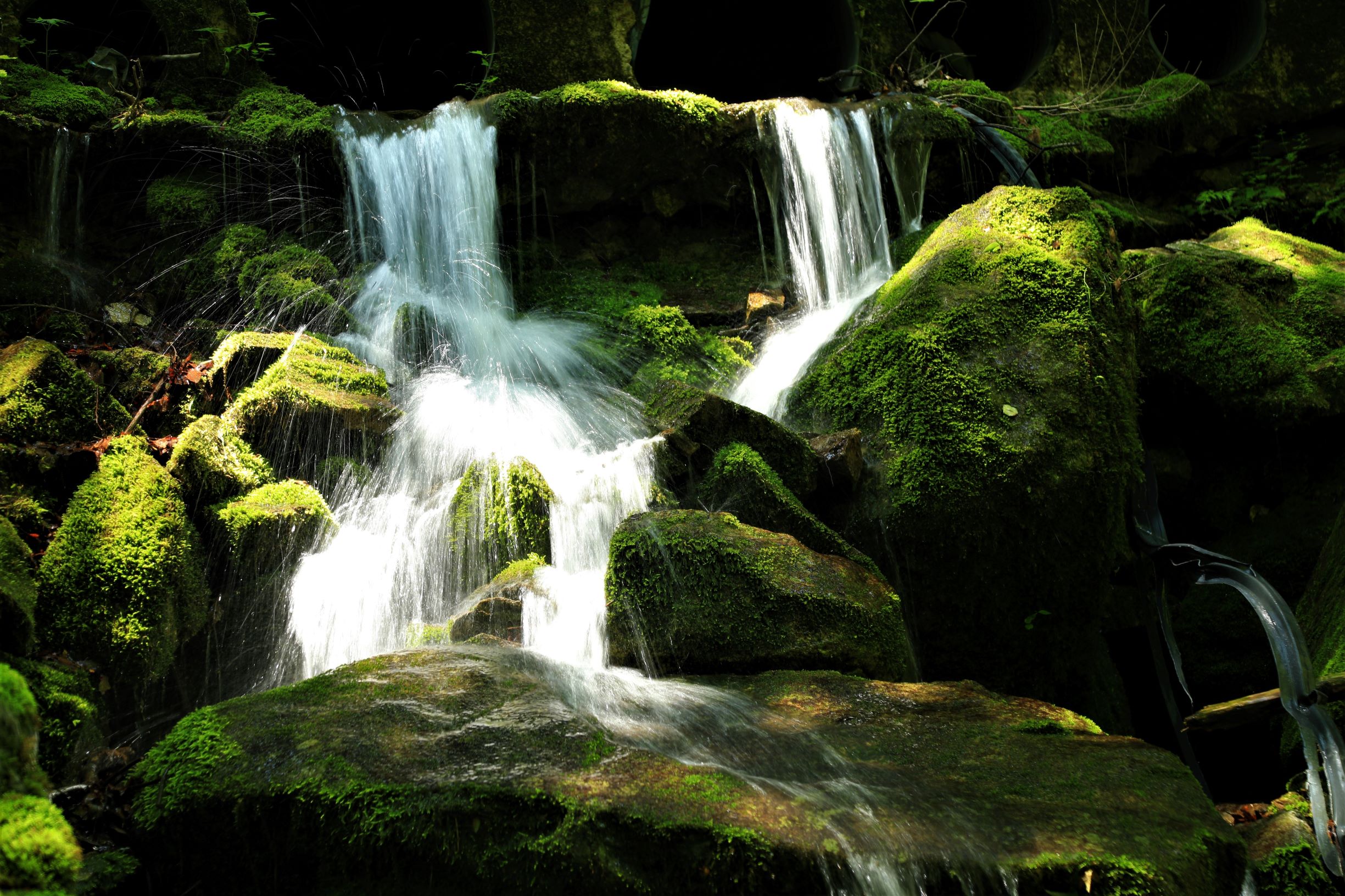 979A8579-3.jpg : 만덕산 이끼계곡