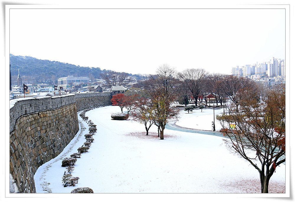 첫눈 017.jpg : 첫눈