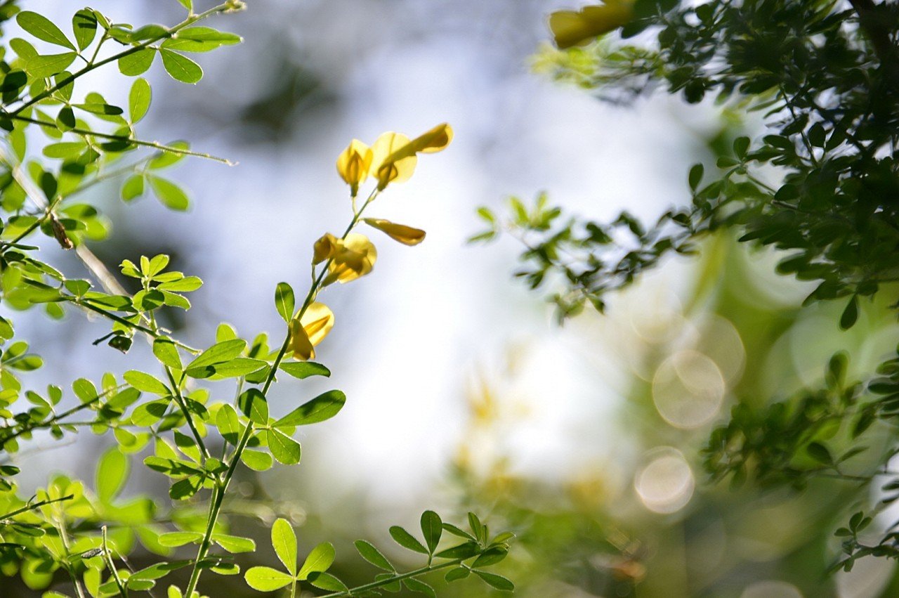 BandPhoto_9023622726.jpg : 퍼스트가든