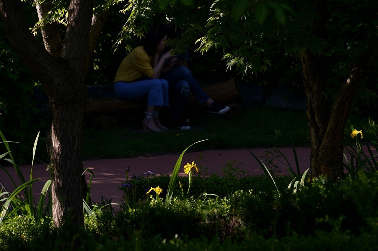 BandPhoto_9023701647.jpg : 퍼스트가든