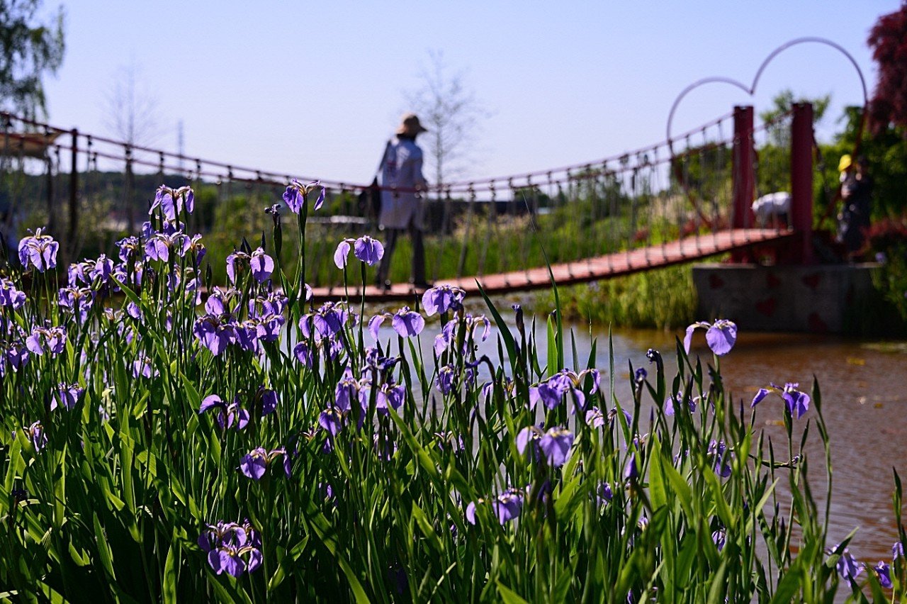 BandPhoto_9023701588.jpg : 퍼스트가든