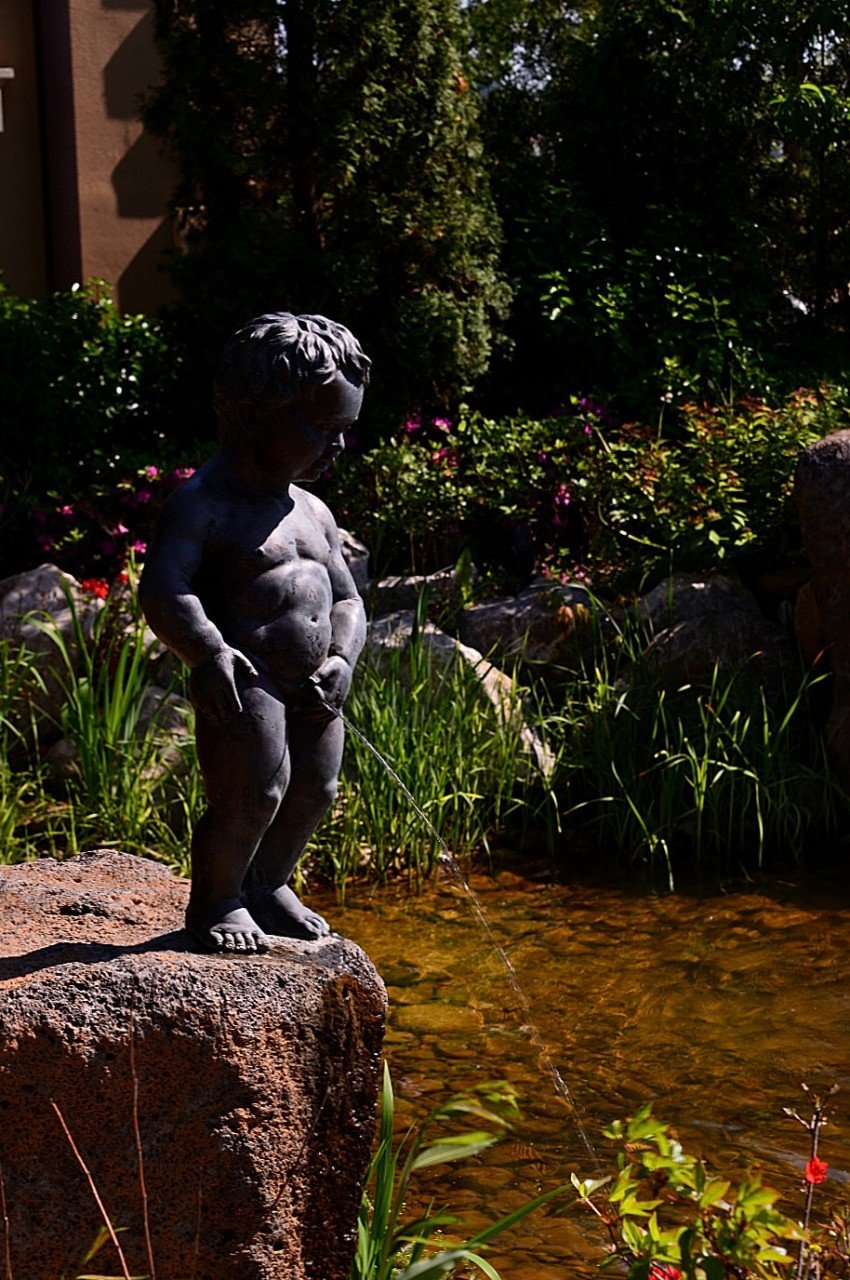 BandPhoto_9023622688.jpg : 퍼스트가든