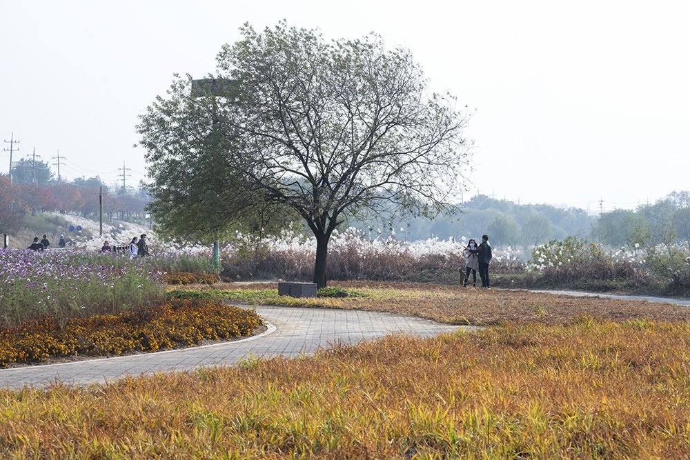 LMJ_3232.jpg : 산책