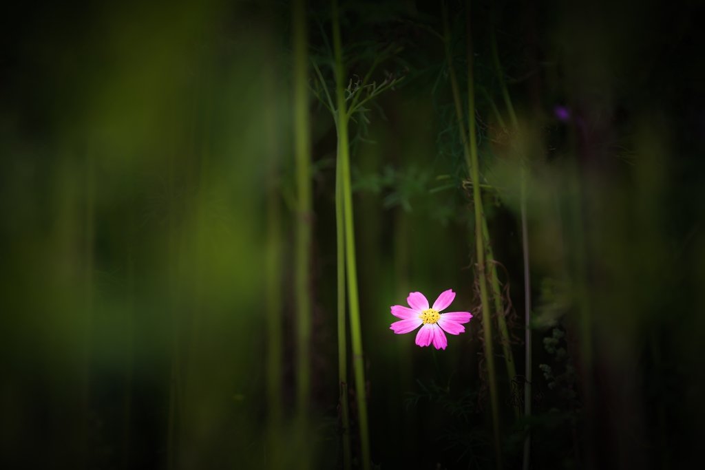 CHW_2040.jpg : 당수동에서.....