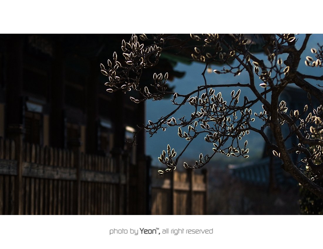 통도사-1-Web.jpg : ...