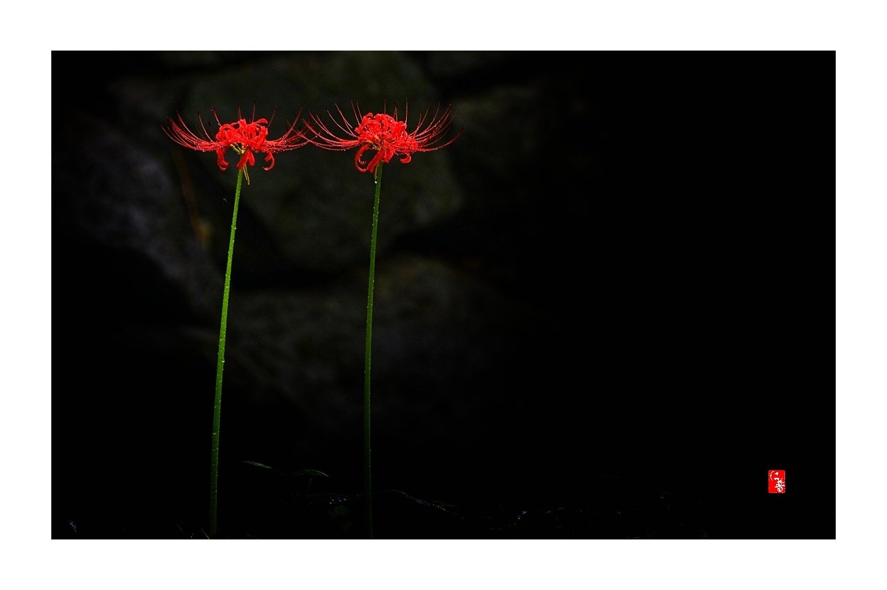 IMG_20180919_095950.jpg : 정모2