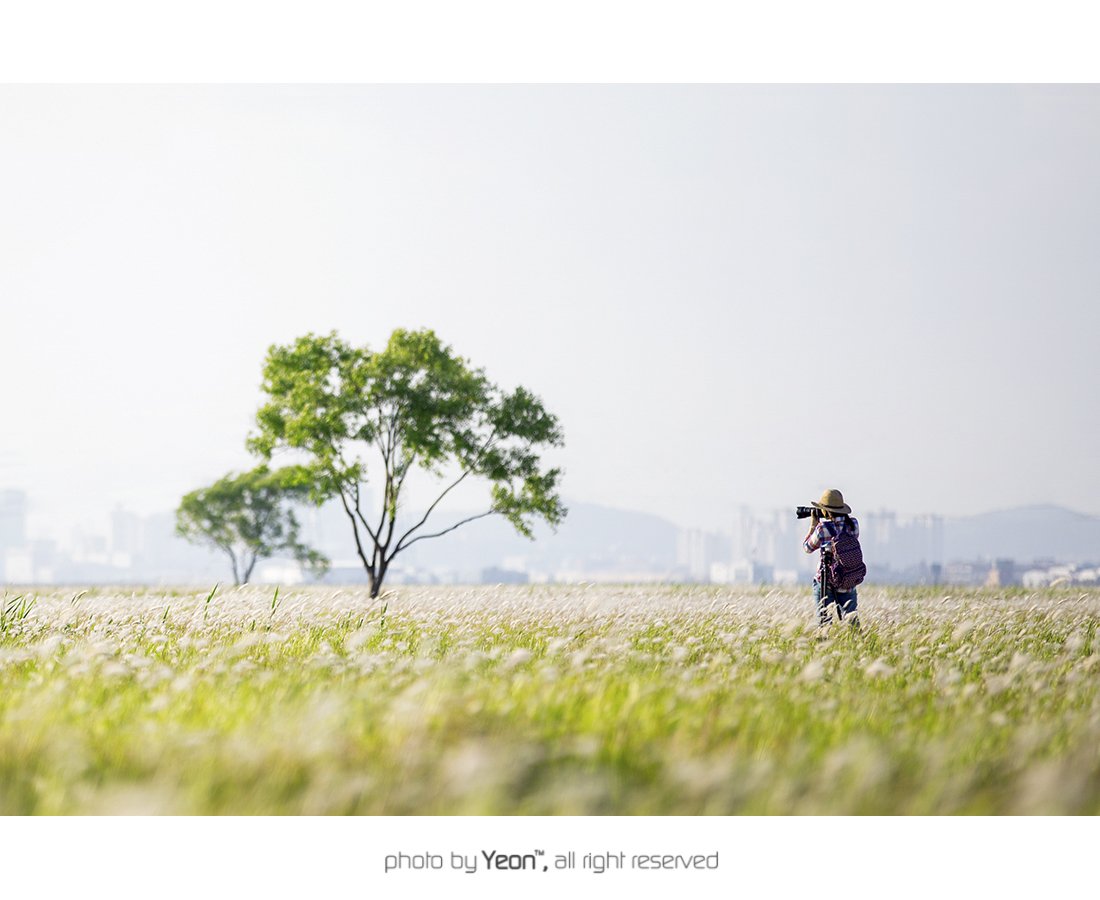 수섬-2-Web.jpg : 수섬에서... 2