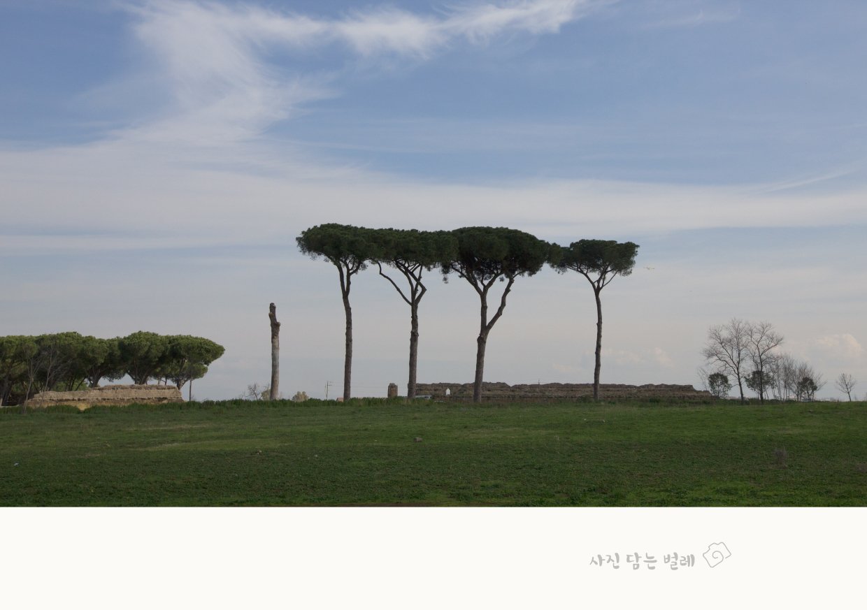 CE3A6825 FARME resize.jpg : 언덕에서