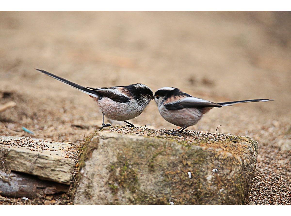 2M3A8807.jpg : 19세이하 관람불가요~^^