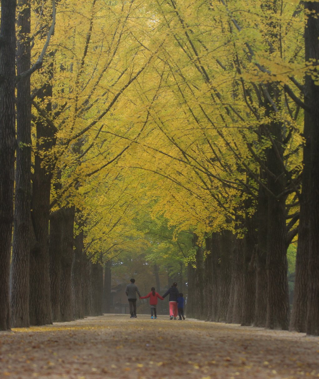 [크기변환]IMG_9753-2.jpg : 남이섬 정모