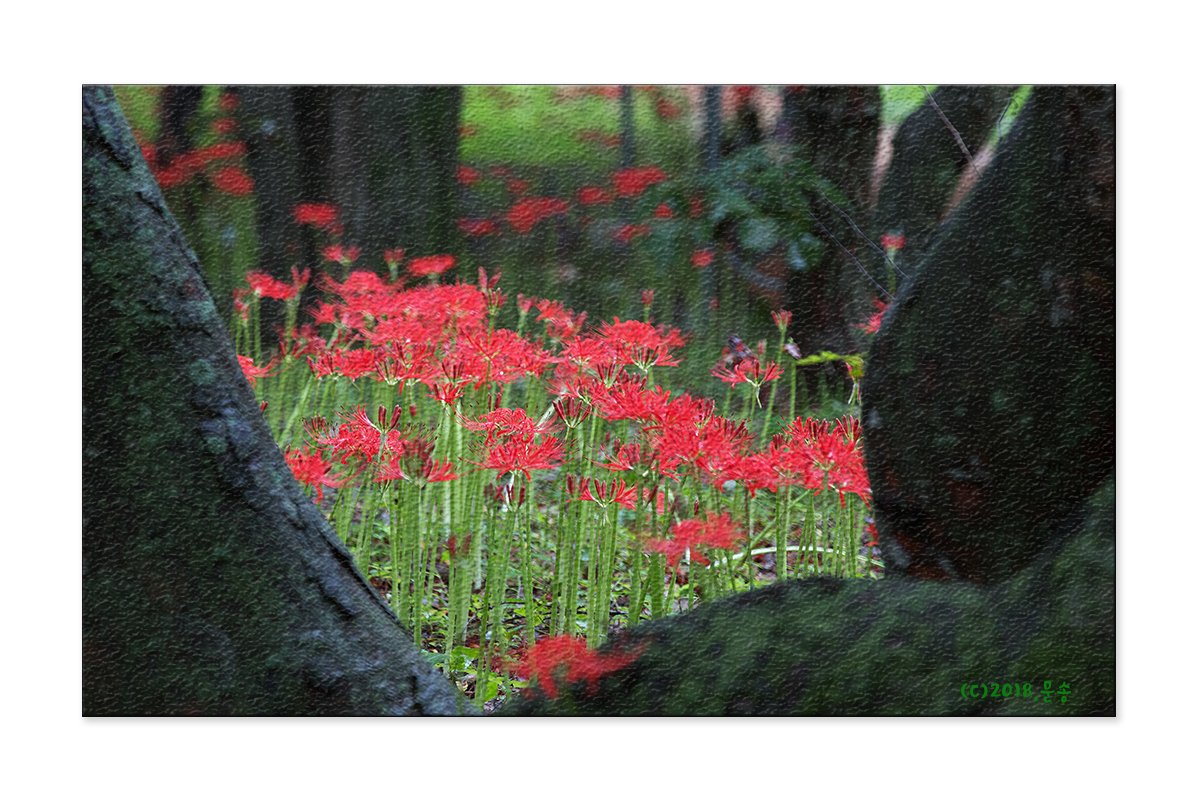 3966.jpg : 눈이 호강하던 날.....