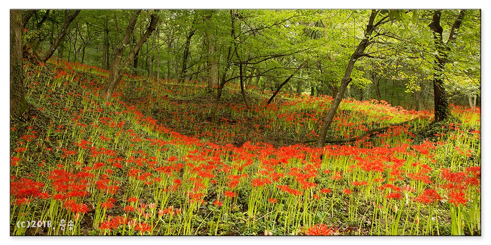 B2477..jpg : 눈이 호강하던 날.....