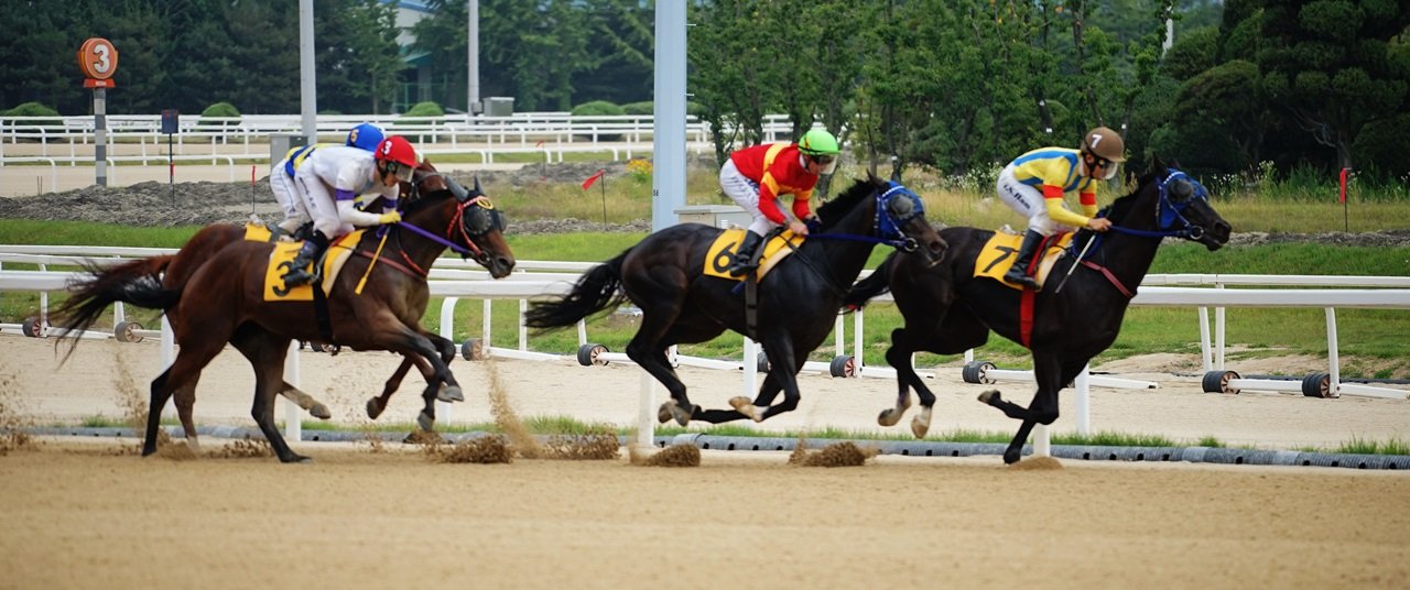 DSC06175.JPG : 달리고 싶다