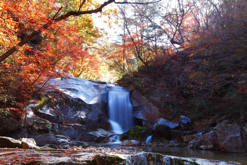 _MG_0447.JPG : 방태산 가을풍경