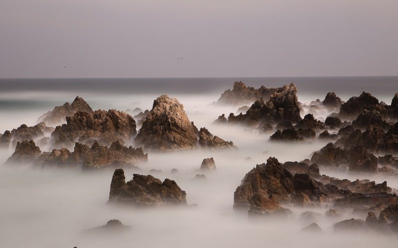 5K5A1058.JPG : 남애리