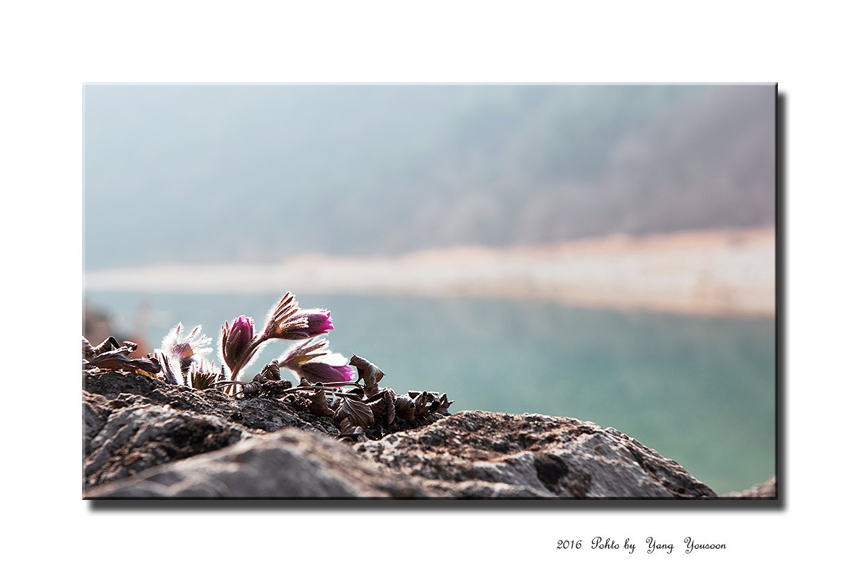 DSC_6191-1-r.jpg : 기다림