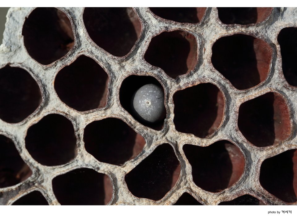 품1.JPG : 엄마의 품