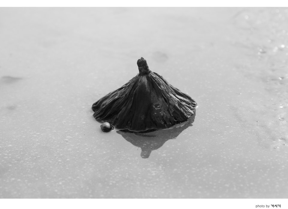 _품1.JPG : 엄마의 품