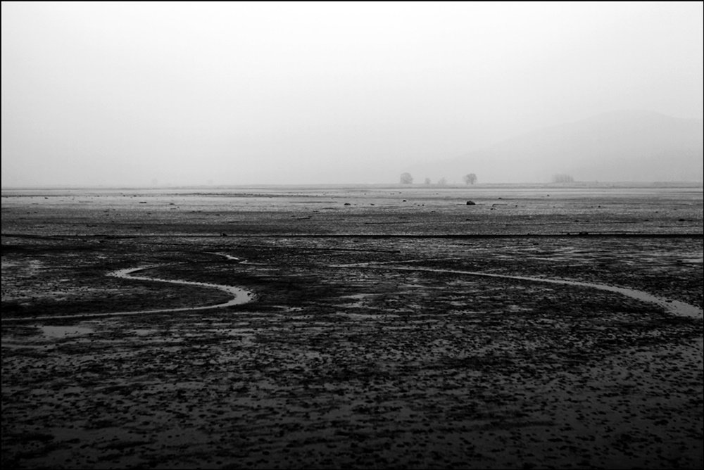 IMG_6878-1.JPG : 어느날 조용히..